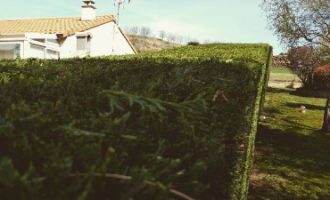 Entretien de jardin